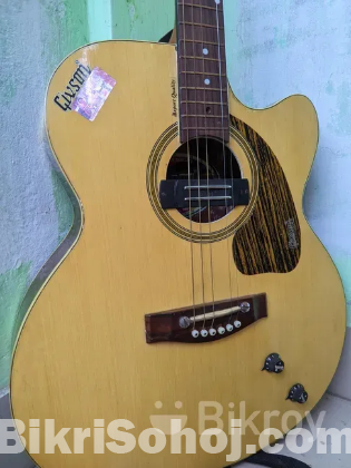 Givson venus rose guitar